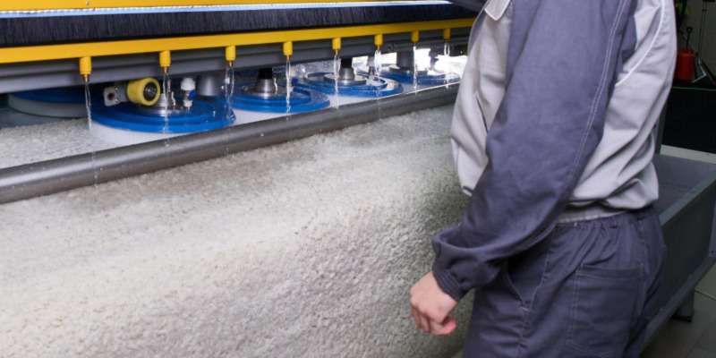 Hiring Carpet Cleaners