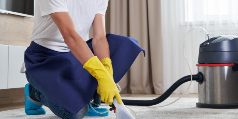 Hiring Carpet Cleaners