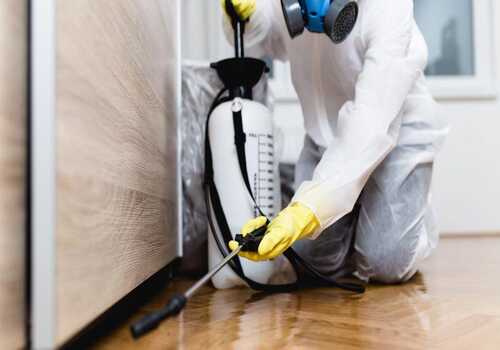 Hiring a Pest Control Technician